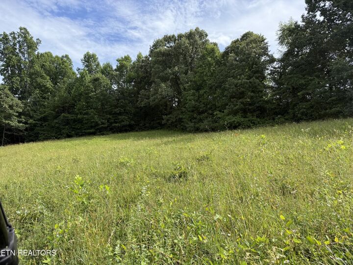 Property Photo:  Clear Creek Rd. 41 Acres  TN 38571 