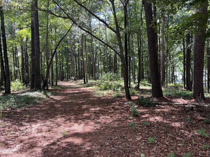 Property Photo:  1603 Pullman Lane  GA 30642 