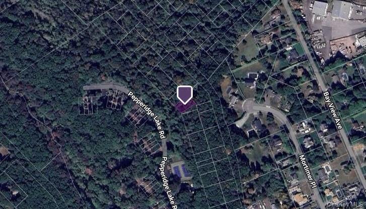 Property Photo:  Vacant Land Park Avenue  NY 11941 
