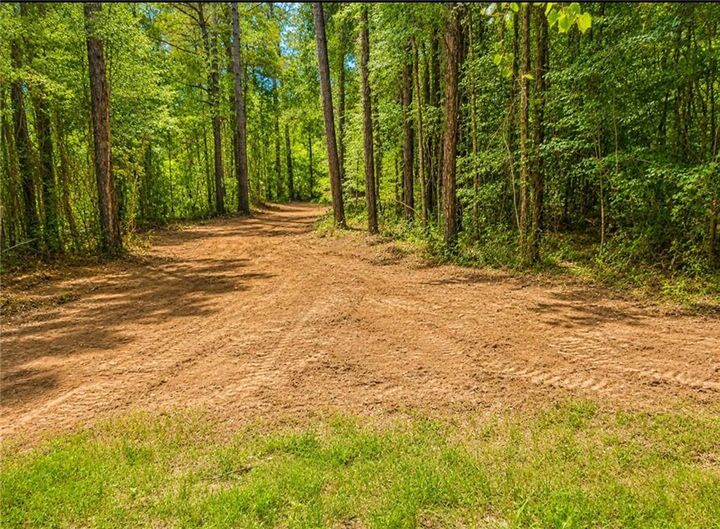 Property Photo:  0 Walter Tanner Road  AL 36587 