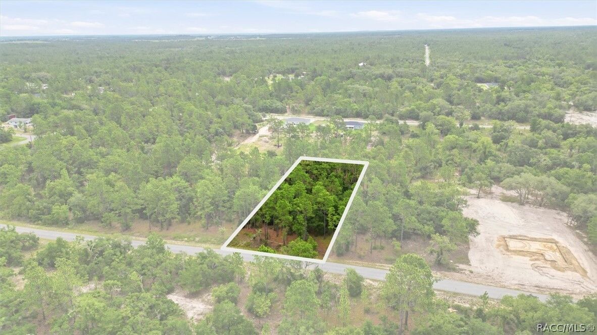 Property Photo:  0000 SW Sands Point Avenue  FL 34431 