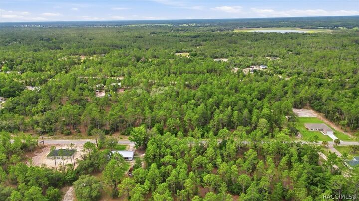 Property Photo:  0000 SW Beaver Drive  FL 34431 