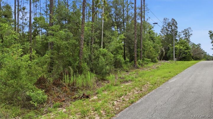 Property Photo: 0000 SW Nautilus Boulevard FL 34431