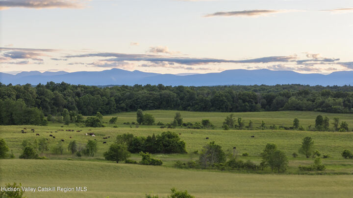 Property Photo:  387 Tishauser  NY 12534 