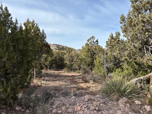 Property Photo:  277 N Pinion Cir  UT 84722 