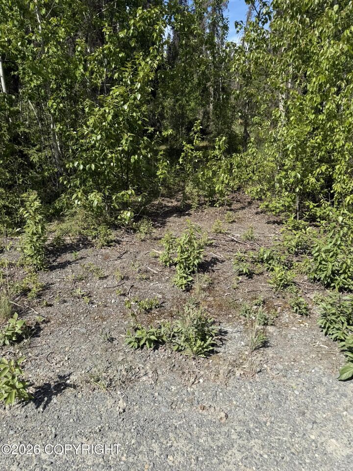 Property Photo:  L2a Westwood Lane  AK 99672 