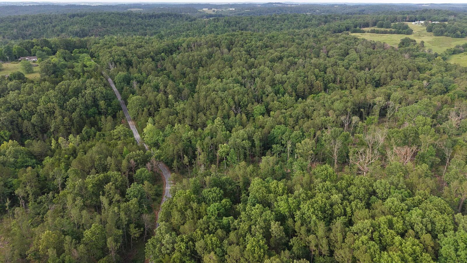 Property Photo:  30A Kerley Point Road  AR 72531 