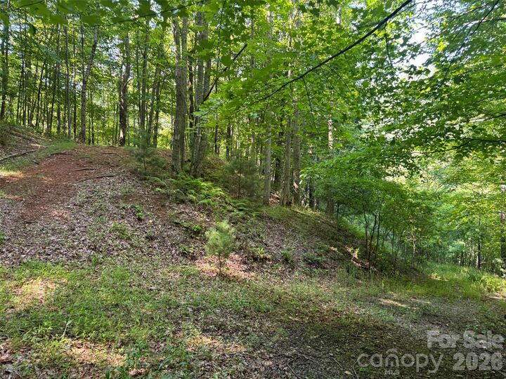 Property Photo:  856 Stoney Stream Lane 146 &Amp 147  NC 28704 