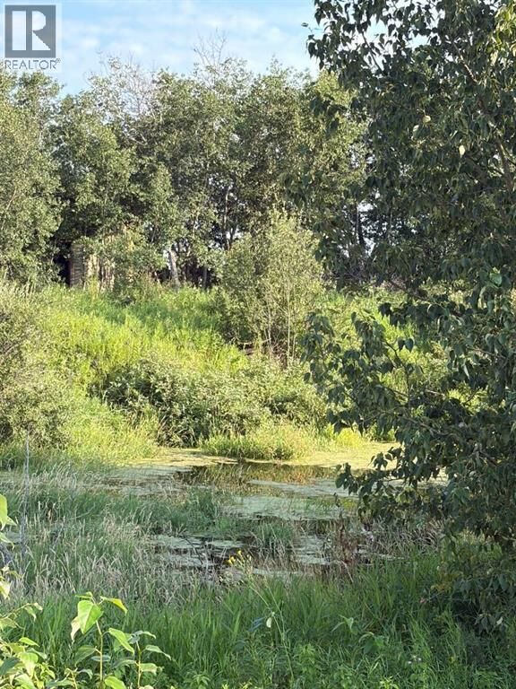 65234 Twp Road 524 — photo 1