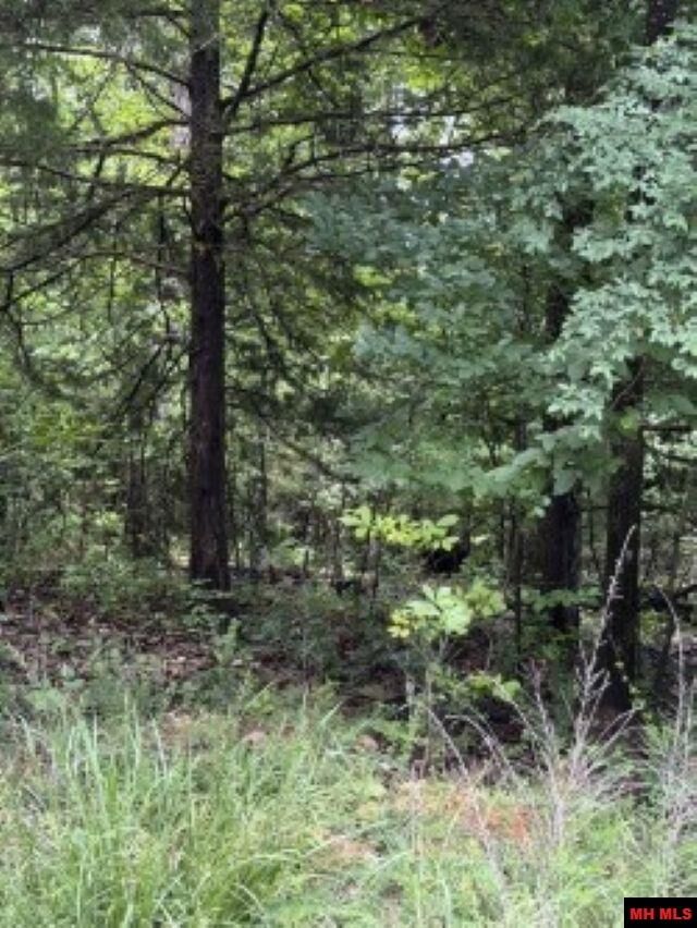 Property Photo:  Lot 61 Hebrides Avenue  AR 72653 