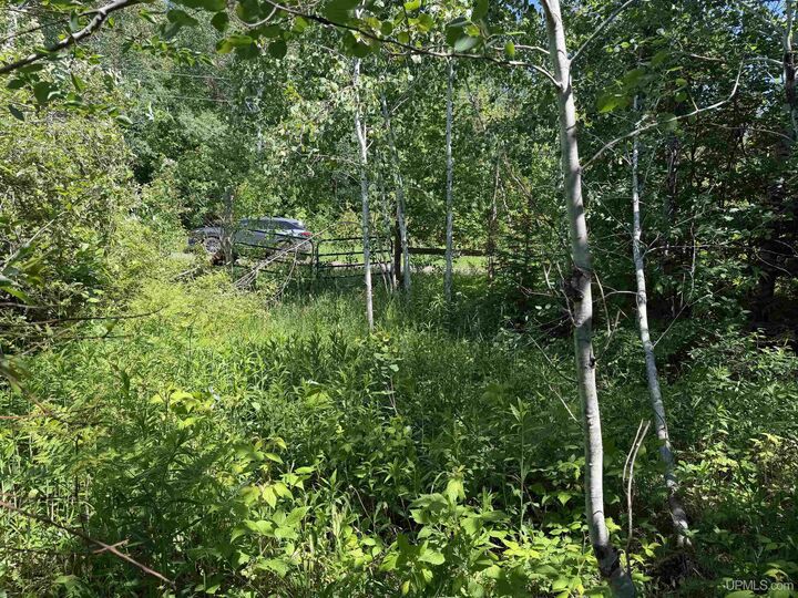 Property Photo:  Tbd Woodspur Road  MI 49953 