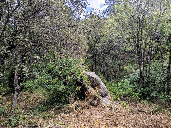 Property Photo:  12998 Tyler Foote Road  CA 95959 