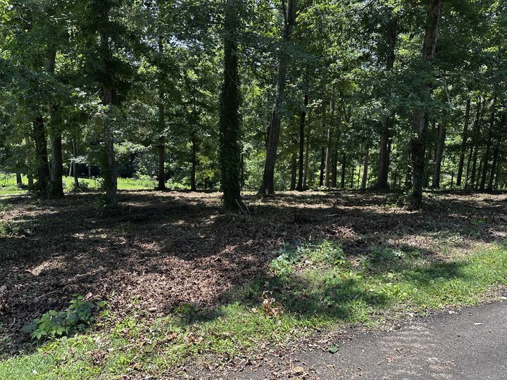Property Photo:  196 Fairway Circle  TN 38469 