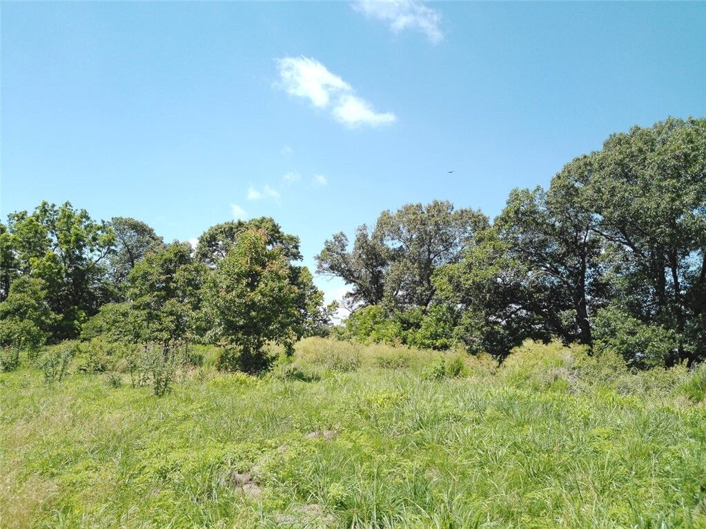 Property Photo: 1029 Bear Hollow Road MO 64856