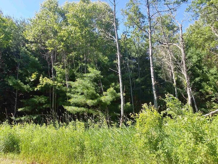 Property Photo:  Lot 13 Birch Lane  PE C0A 1L0 