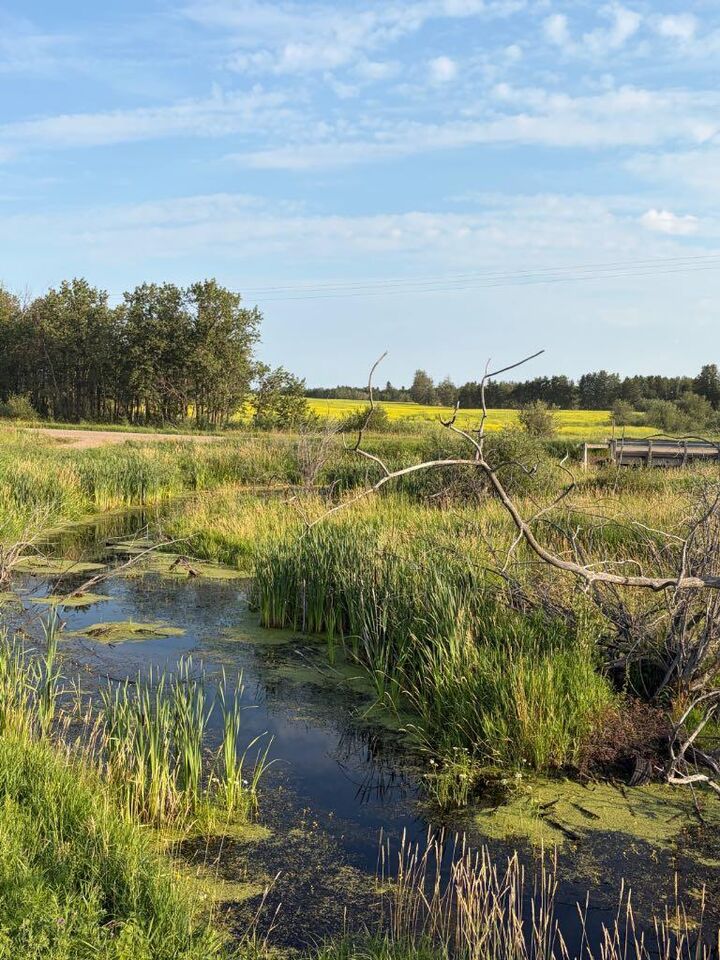 Property Photo: SE 26-52-3 W4 Twp Road 524 AB T0B 2X0