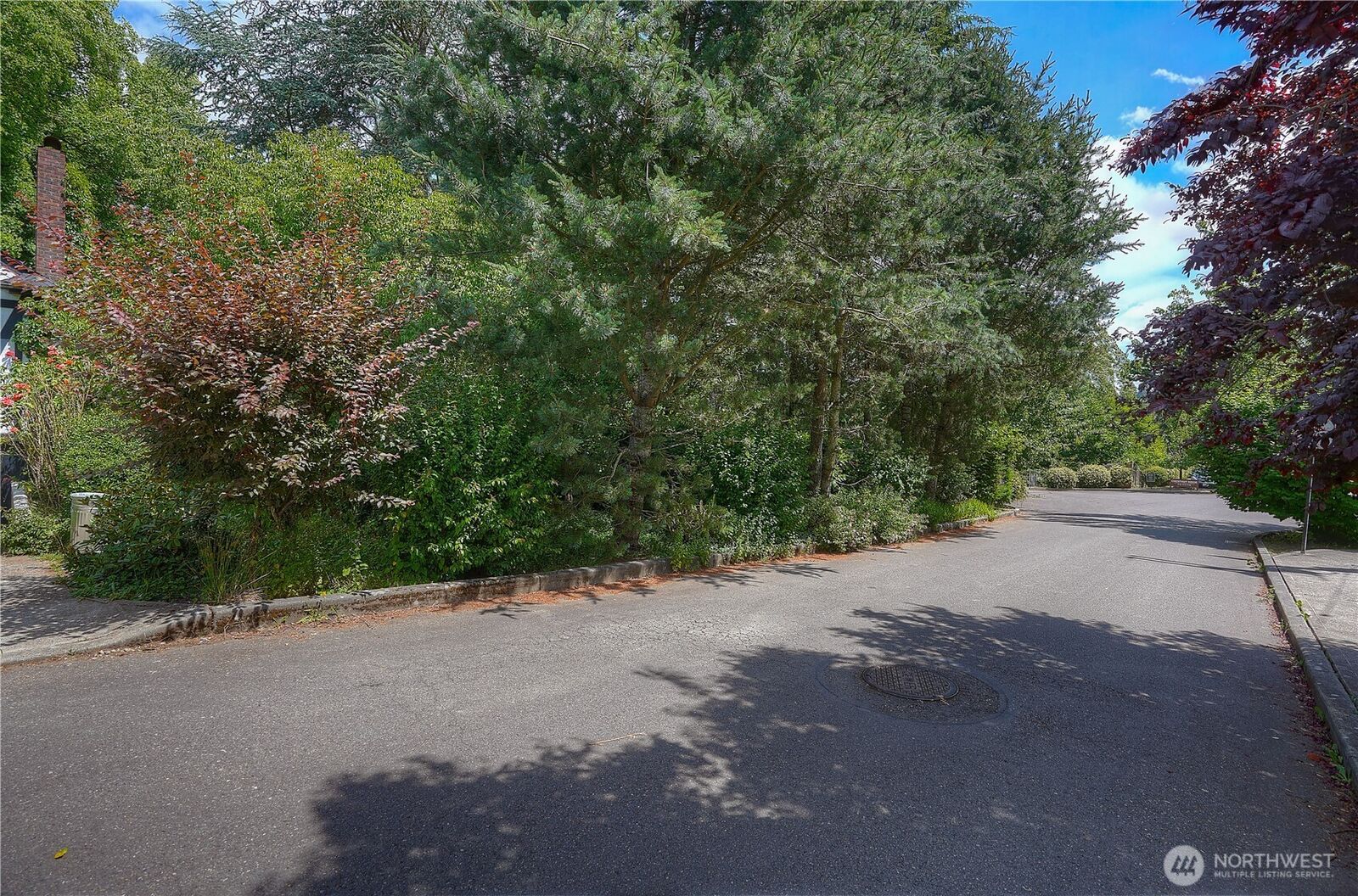 Property Photo: 710 11th Avenue SE WA 98501