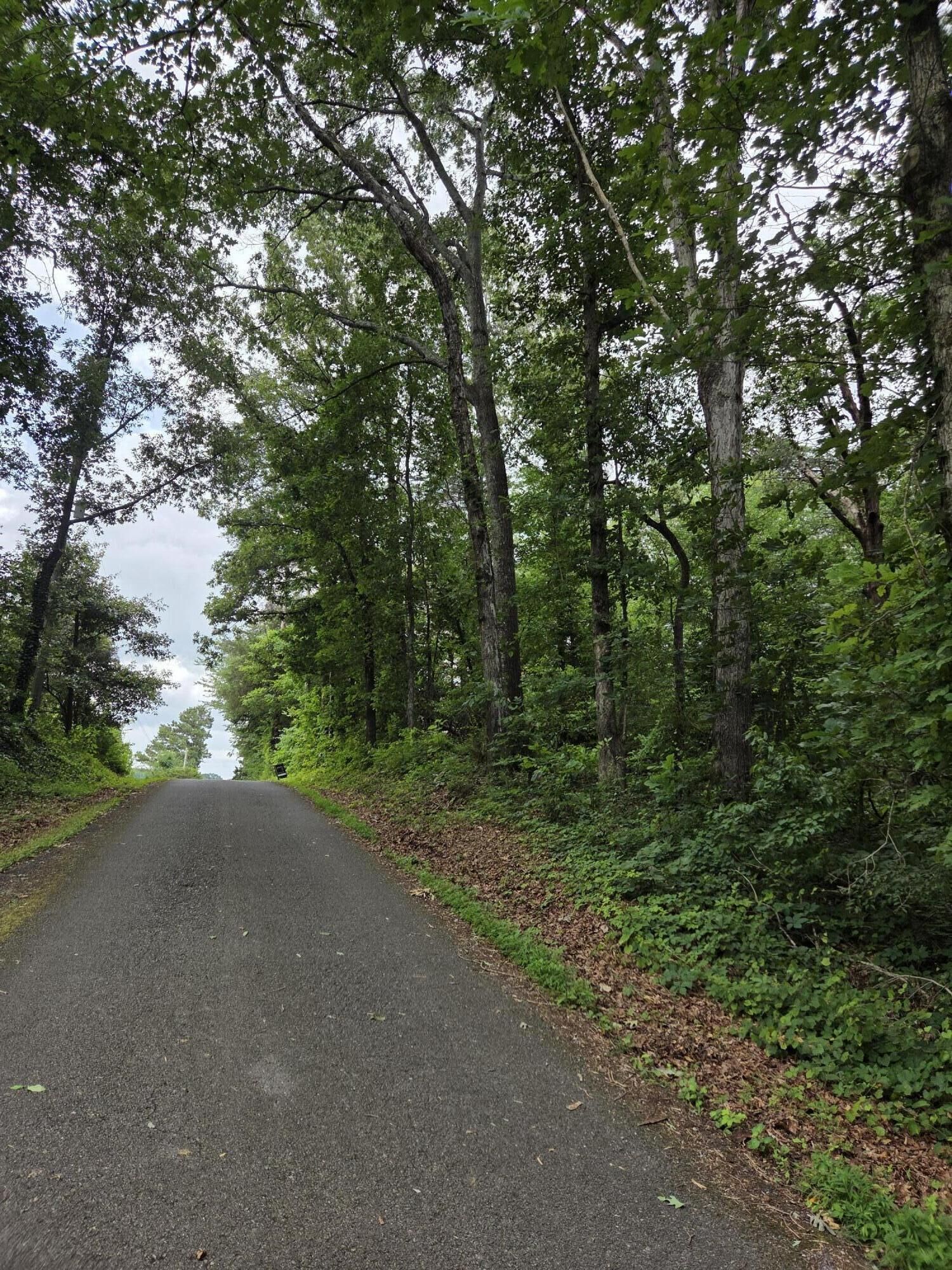 Property Photo:  0 Co Rd 156  TN 37370 