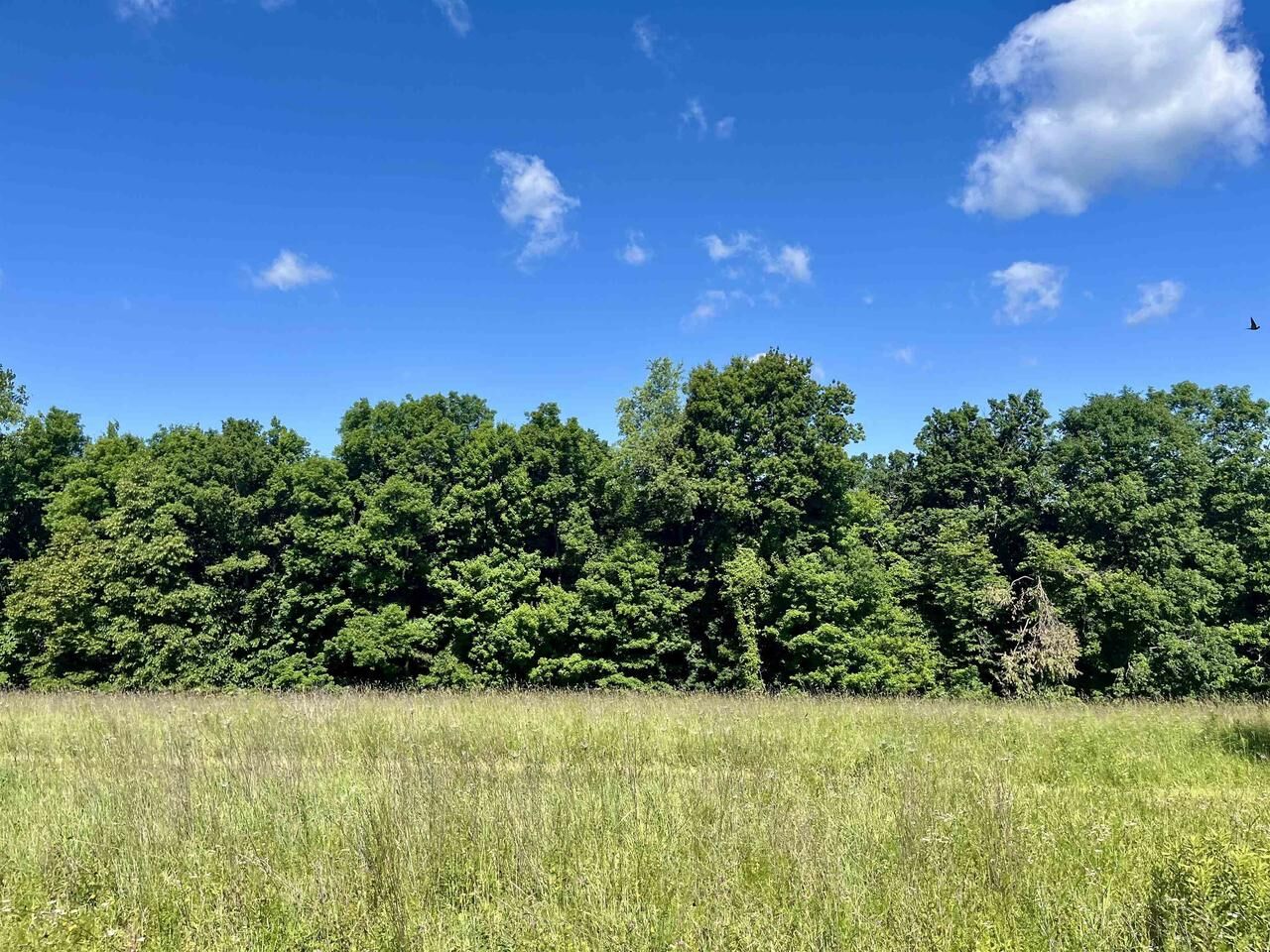 Property Photo:  Highway 131  WI 54631 