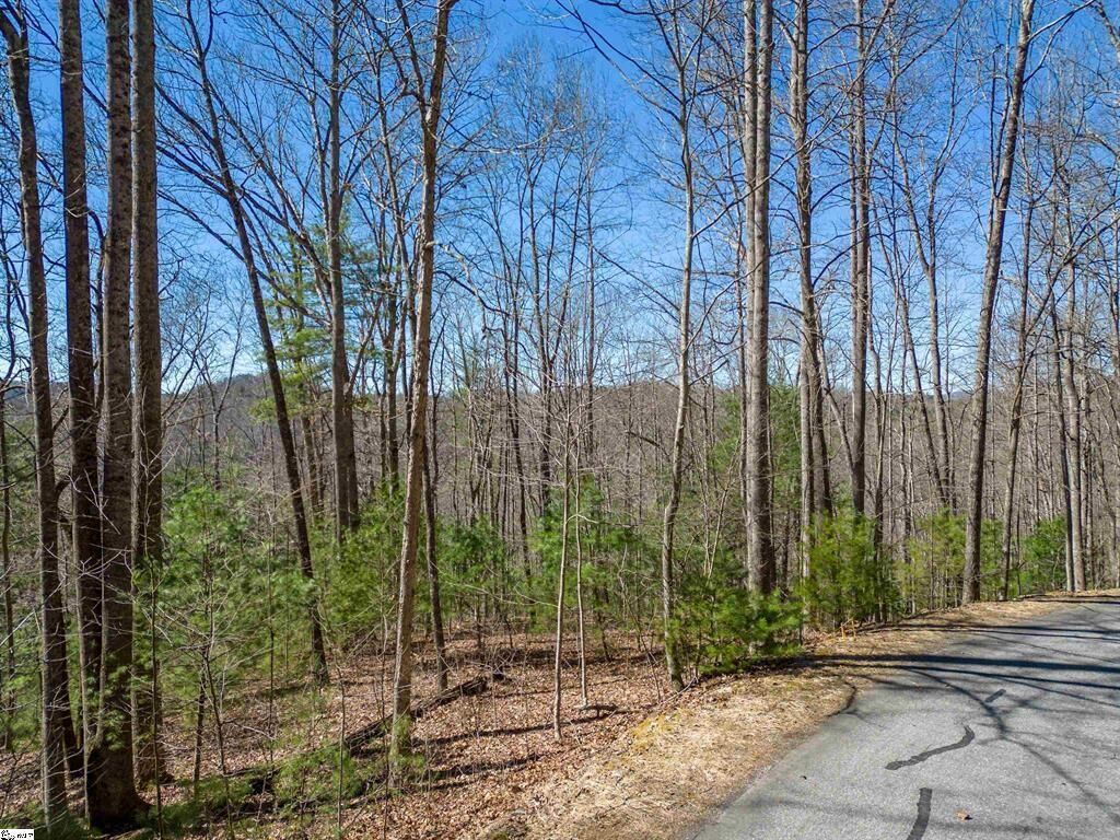 Property Photo:  132 Overlook Park Drive ***  NC 28792 