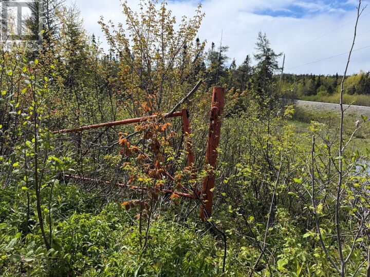 Property Photo:  0 Main Street  NL A0G 3R0 