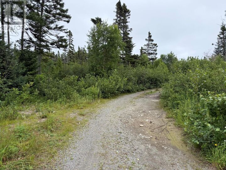 Property Photo:  0 Main Street  NL A0G 3R0 