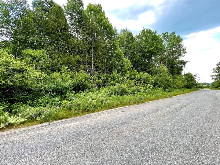 2 Hectares Kanes Lane — photo 1