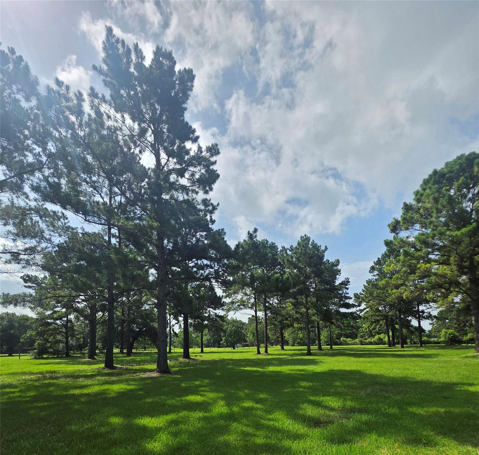 Property Photo:  910 Sundown Meadows Street  TX 77532 