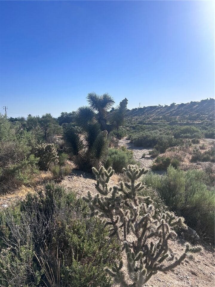 Property Photo: 0 Yuba 3037061040000 CA 92371