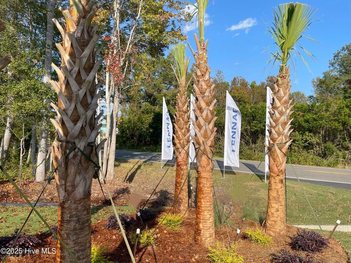 Property Photo:  731 Little Gull Way SW Drive SW Wilmington Lot 74  NC 28469 