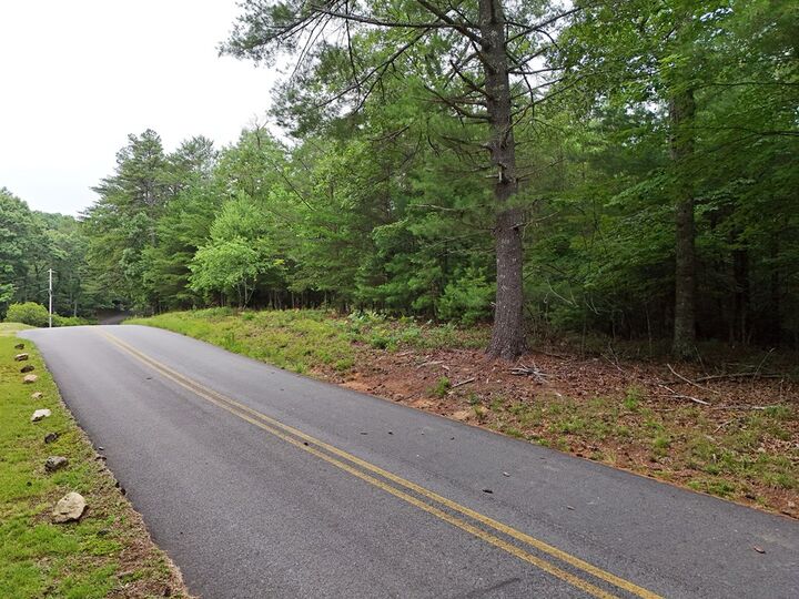 Property Photo:  Lot 3 Cook Henry Road  GA 30512 