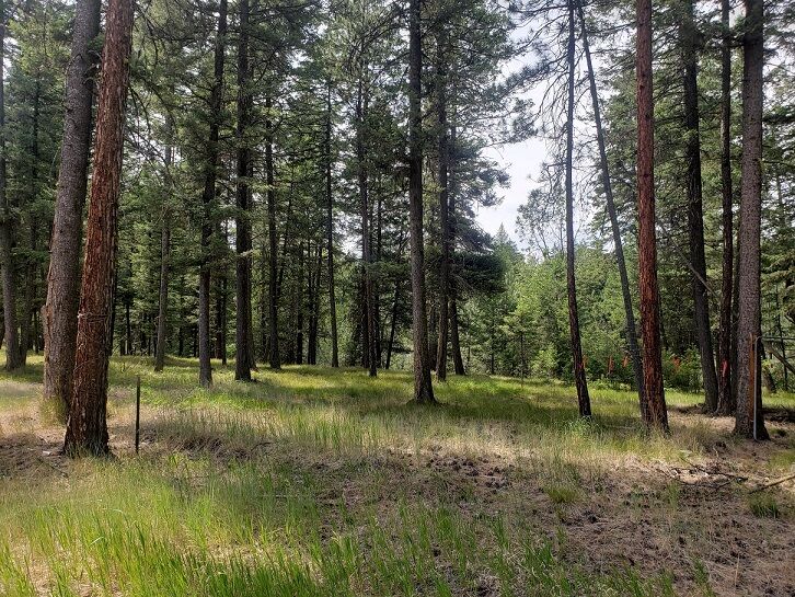 Property Photo:  19425 Pond Road  MT 59834 