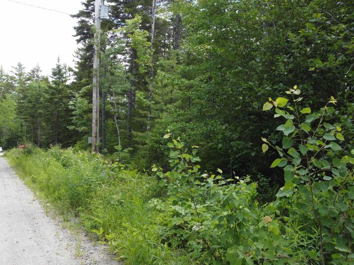 Property Photo:  82 Pioneer Drive  NS B0N 2T0 