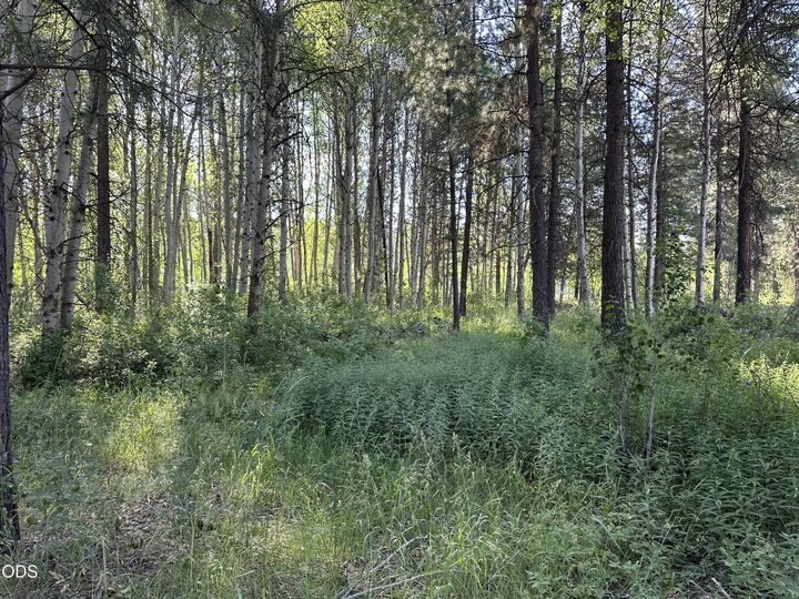Property Photo:  0 Highway 62  OR 97624 