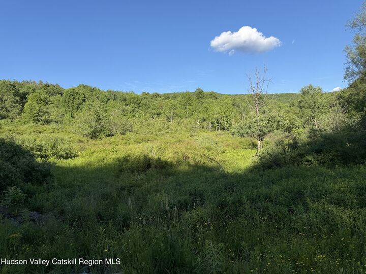 Property Photo:  3012 Red Kill  NY 12430 