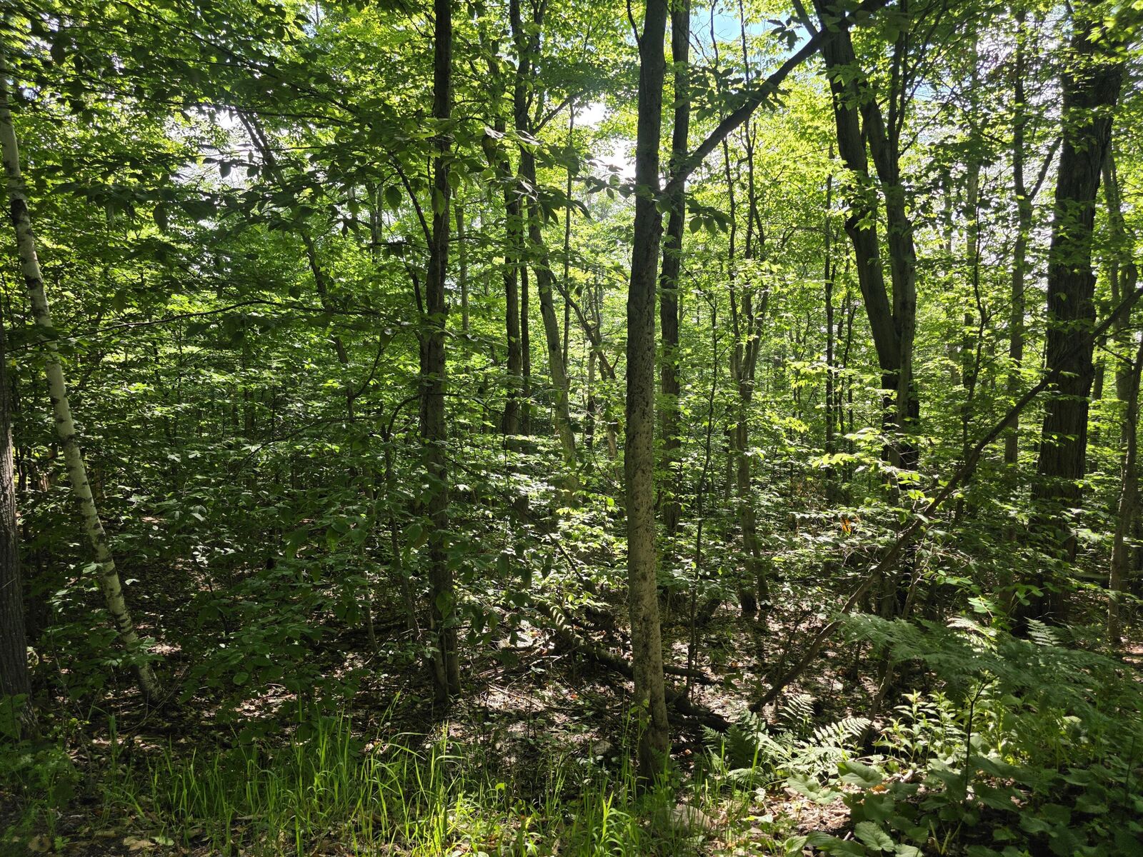 Property Photo:  0 Nashville Road  NY 12981 