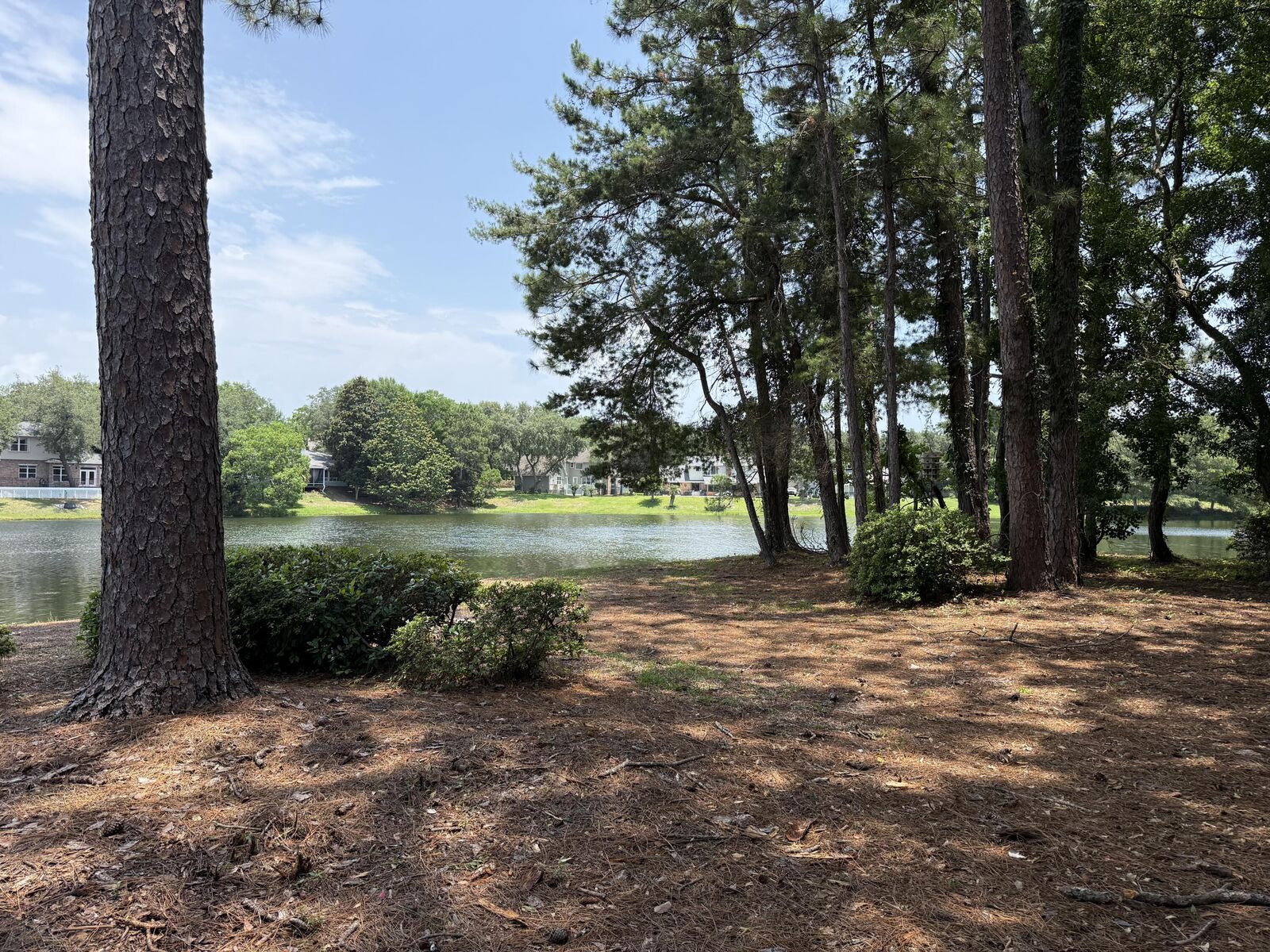 Property Photo:  207 Southlake Court 207  FL 32578 