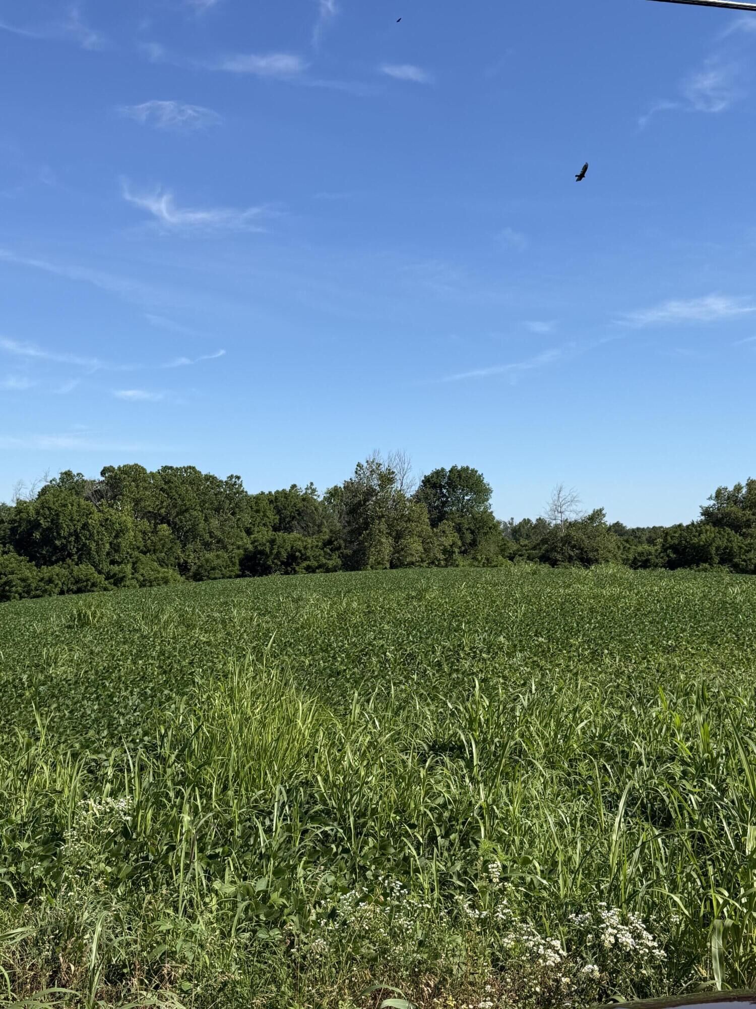 Property Photo:  7825 Mount Carmel Road  KY 41041 