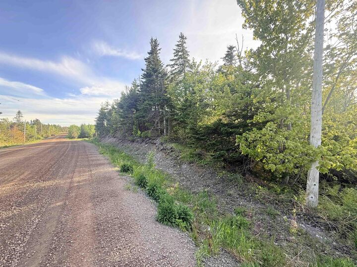 Property Photo:  B1k 2P9 New Boston Road  NS B1K 2P9 