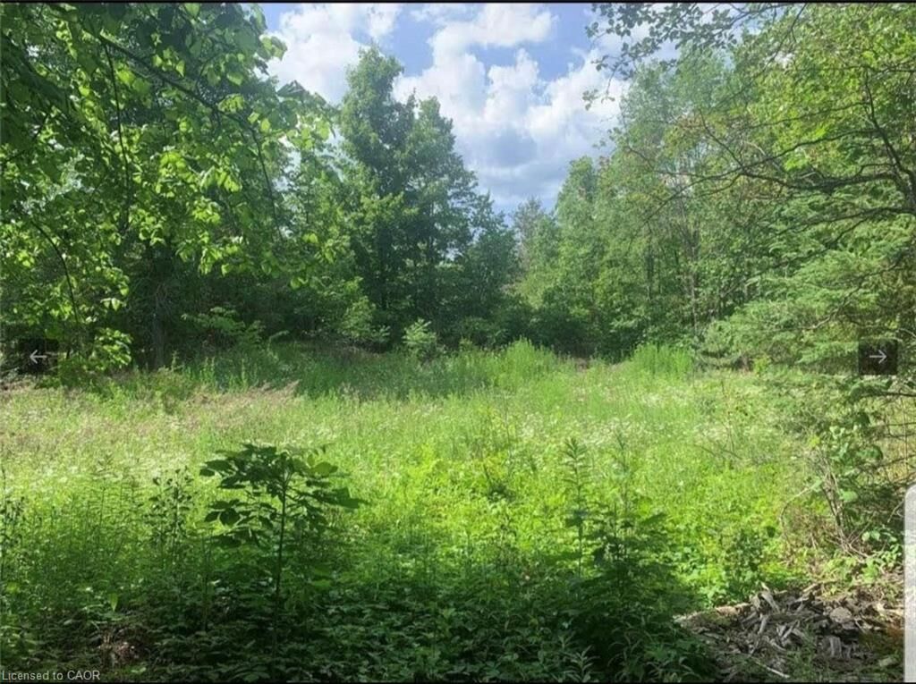 Photo de la propriété:  Lot 12 Suter Drive  ON K0M 1B0 