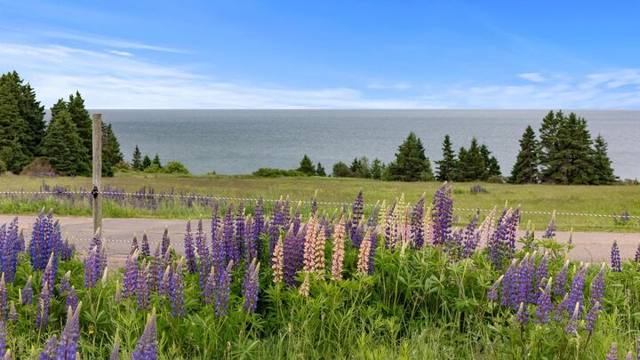 Property Photo:  10466 Normans Road  PE C0A 1W0 