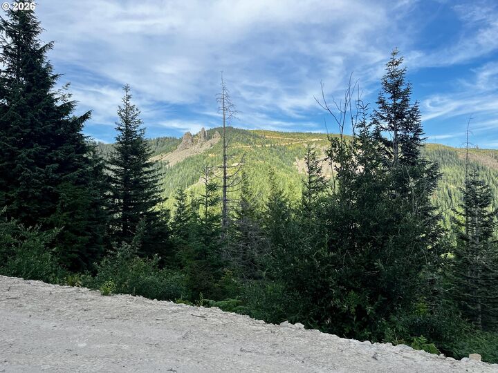 Property Photo:  Snag Mountain Rd 110  WA 98671 