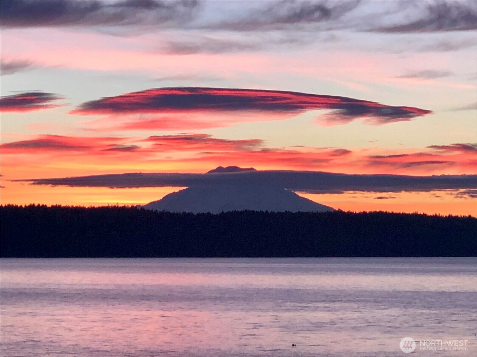 Property Photo:  282 E Plantation Way  WA 98584 
