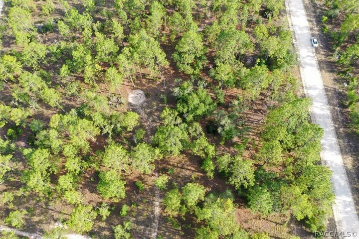 Property Photo:  0000 NE 131st Lot 9 Terrace  FL 32696 