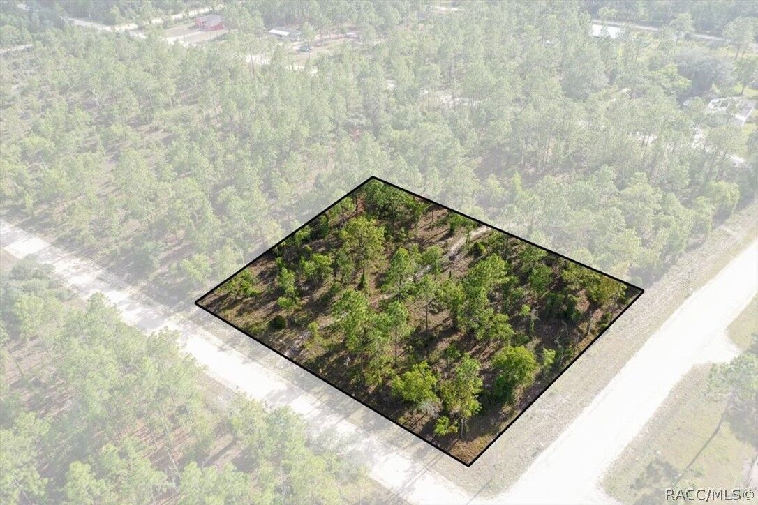 Property Photo:  0000 NE 132nd Lot 1 Terrace  FL 32696 