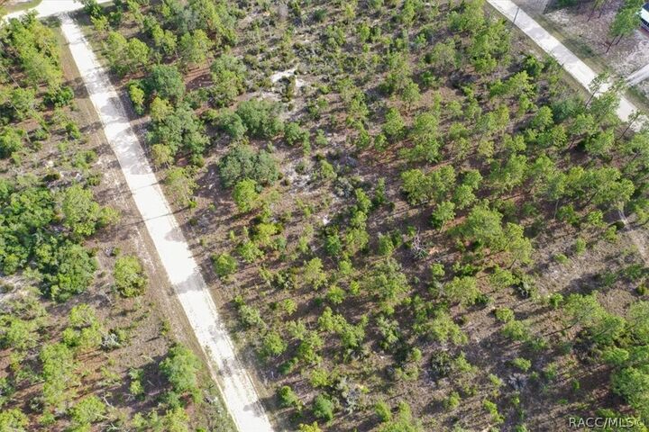Property Photo:  0000 NE 132nd Lot 4 Terrace  FL 32696 