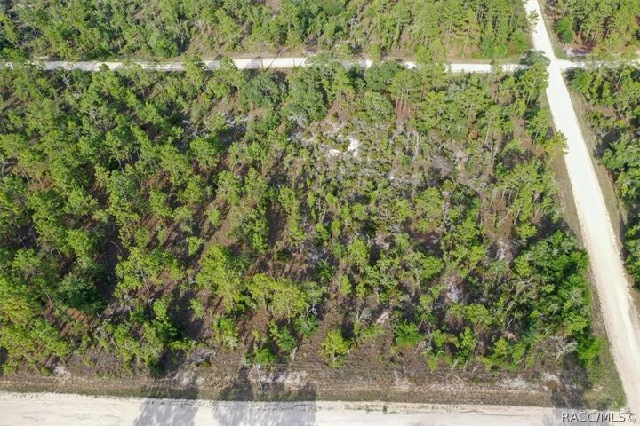 Property Photo:  0000 NE 131st Lot 6 Terrace  FL 32696 