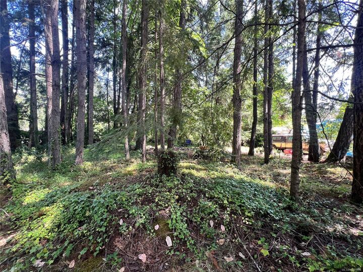 Property Photo:  Lot B Chemainus Rd  BC V0R 1K5 