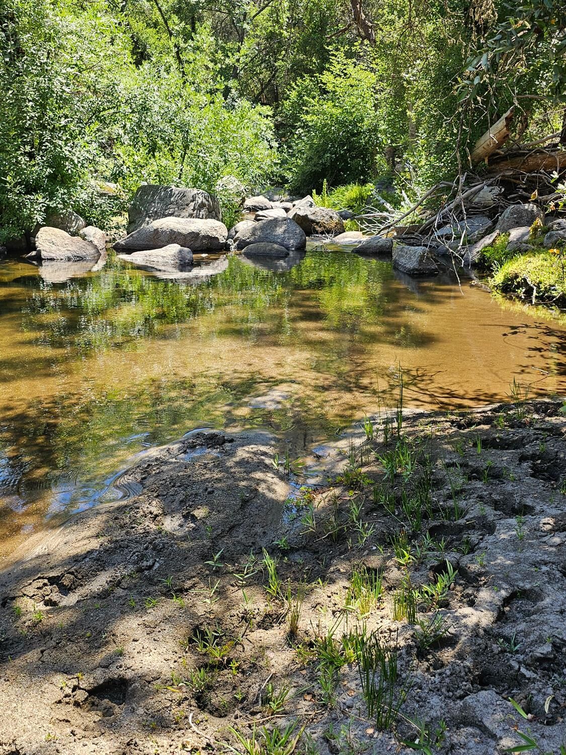 Property Photo:  0 Rush Creek Road  CA 93726 