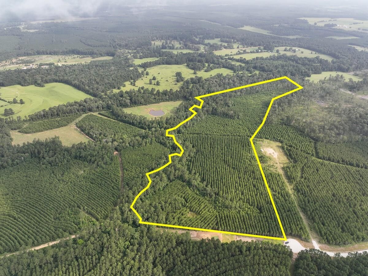 Property Photo:  1 Cody Road  TX 77351 